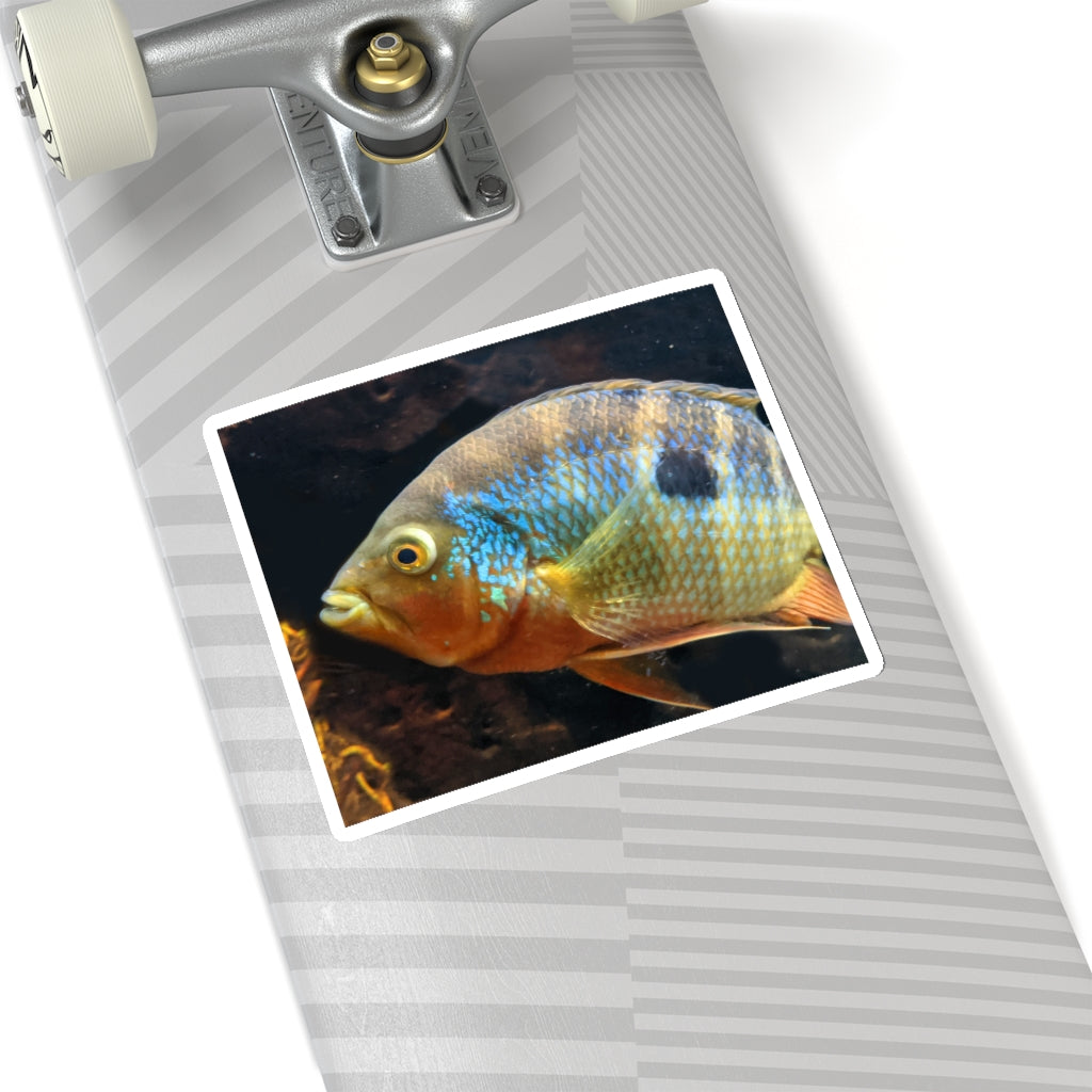 Brown and orange fish kiss-cut stickers showcasing intricate designs and vibrant colors, ideal for indoor use.