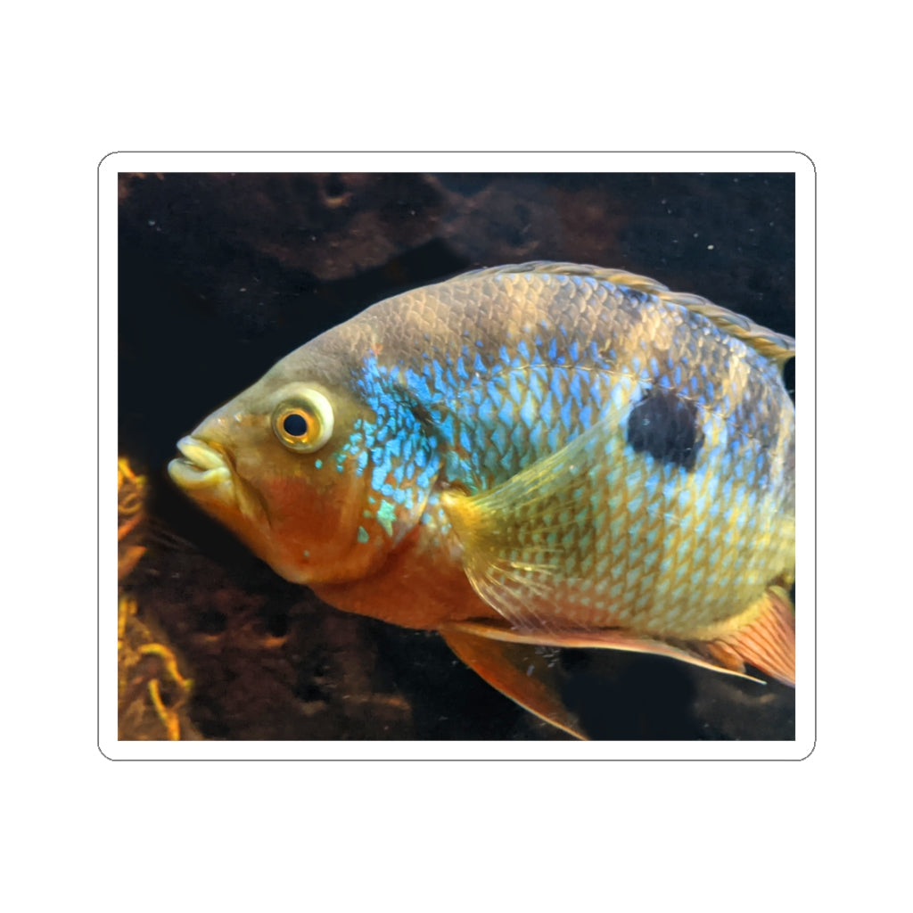 Brown and orange fish kiss-cut stickers showcasing intricate designs and vibrant colors, ideal for indoor use.