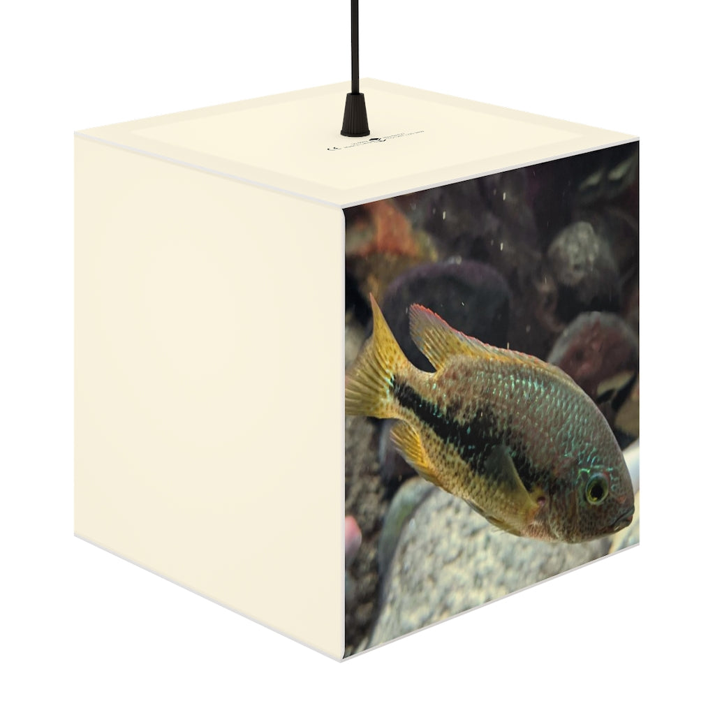 Brown and orange cube lamp featuring a fish design, perfect for indoor lighting and decoration.