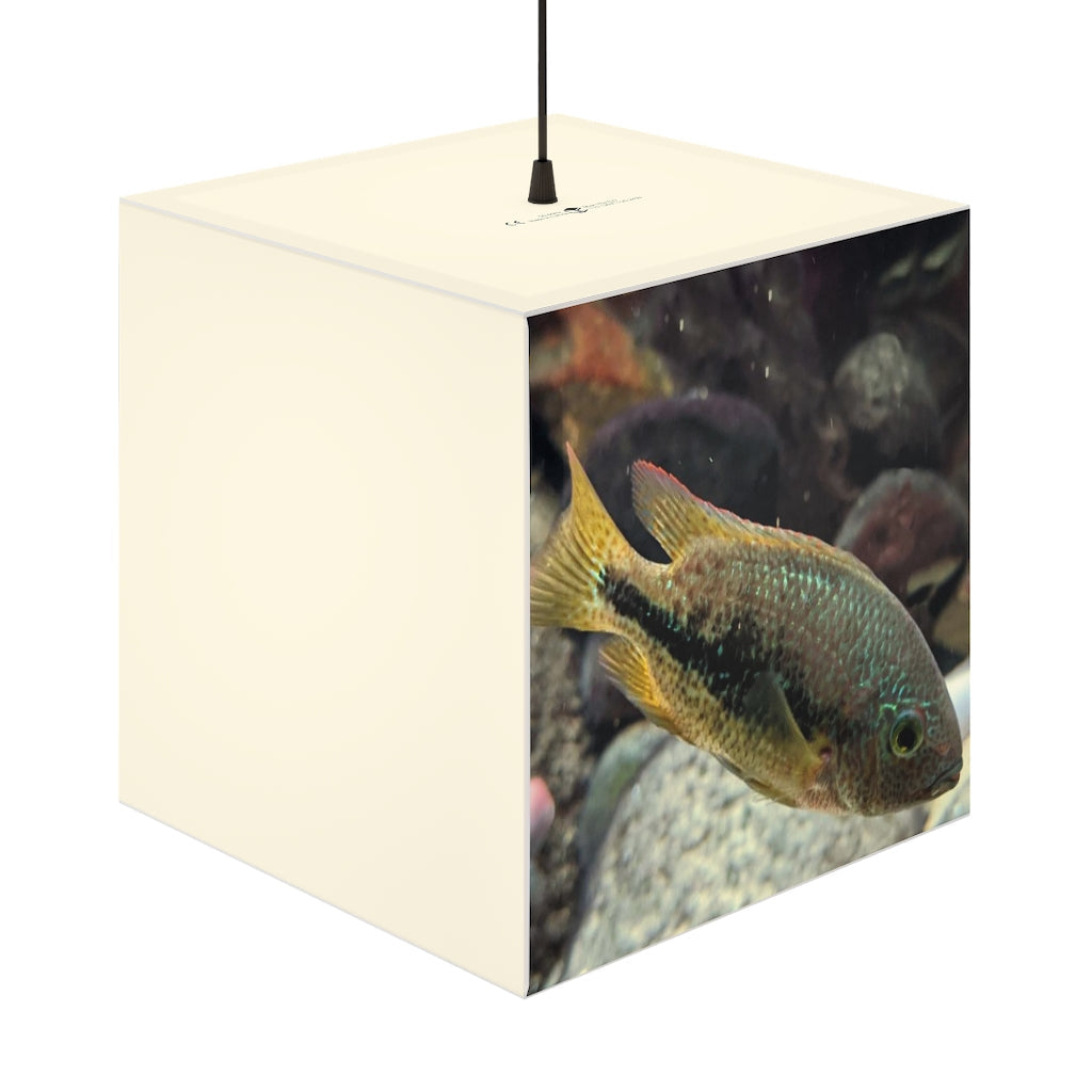 Brown and orange cube lamp featuring a fish design, perfect for indoor lighting and decoration.