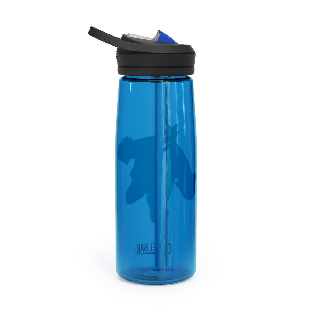 Bunyun CamelBak Eddy® Water Bottle in 20oz and 25oz sizes, showcasing robust Tritan™ material and spill-proof design.