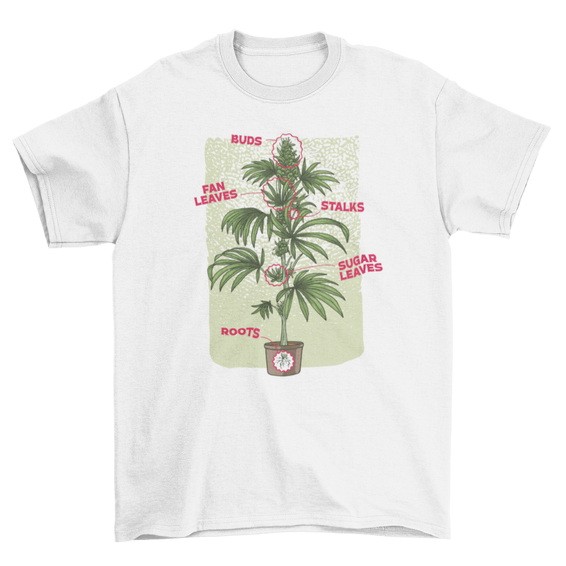 Cannabis Plant Chart Nature T-Shirt featuring detailed illustrations and explanations of cannabis plant anatomy.