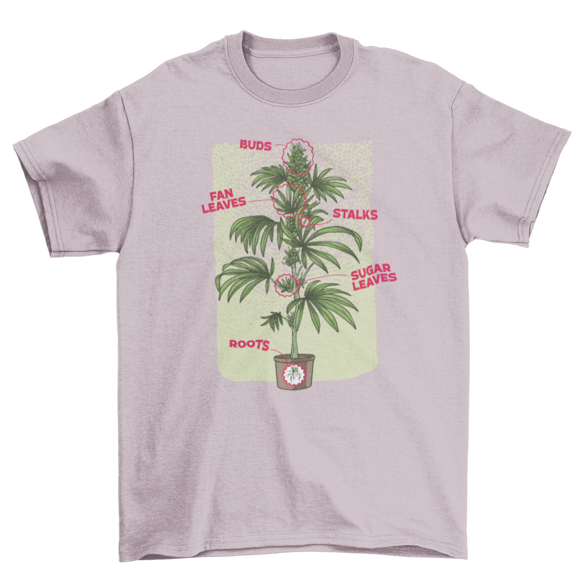 Cannabis Plant Chart Nature T-Shirt featuring detailed illustrations and explanations of cannabis plant anatomy.