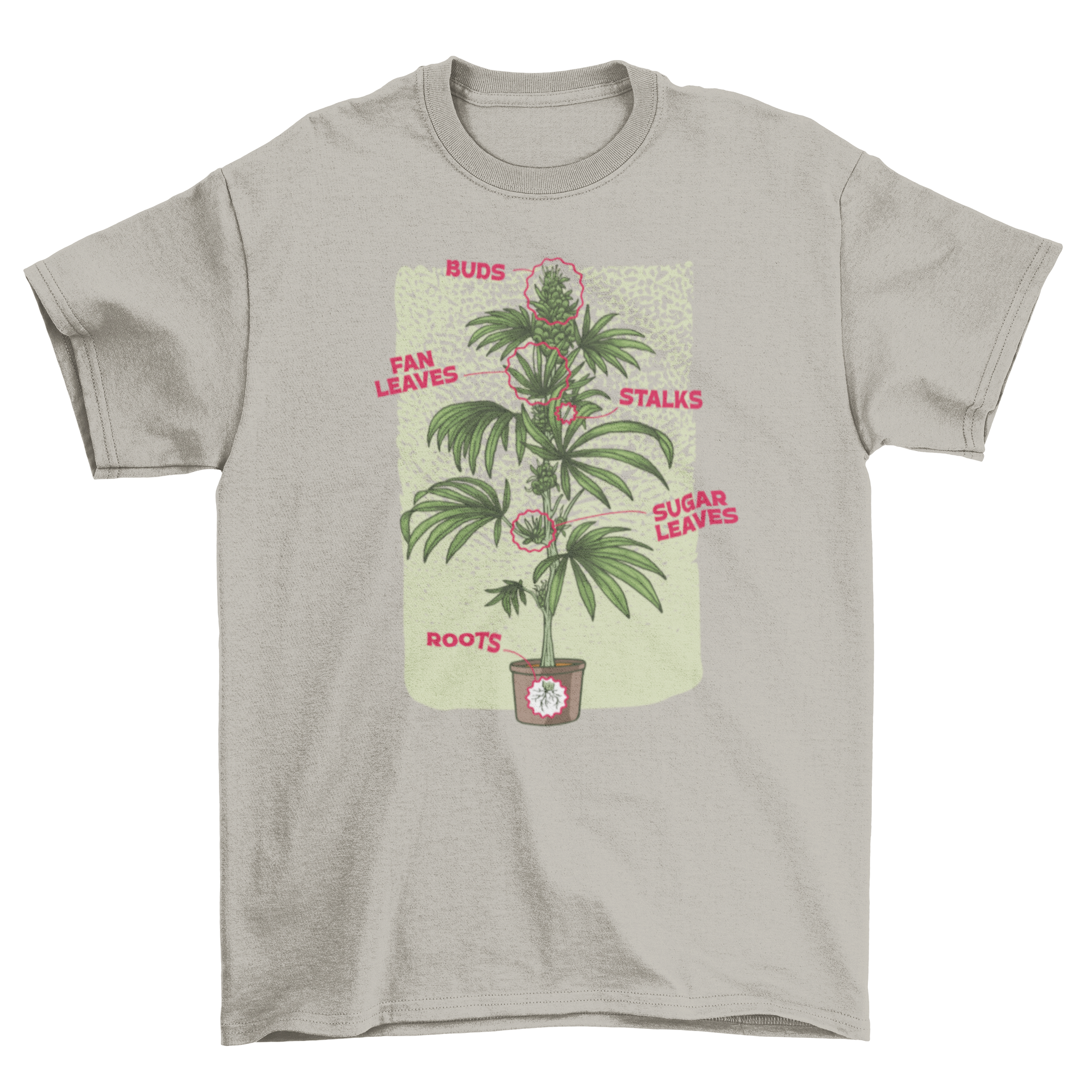 Cannabis Plant Chart Nature T-Shirt featuring detailed illustrations and explanations of cannabis plant anatomy.