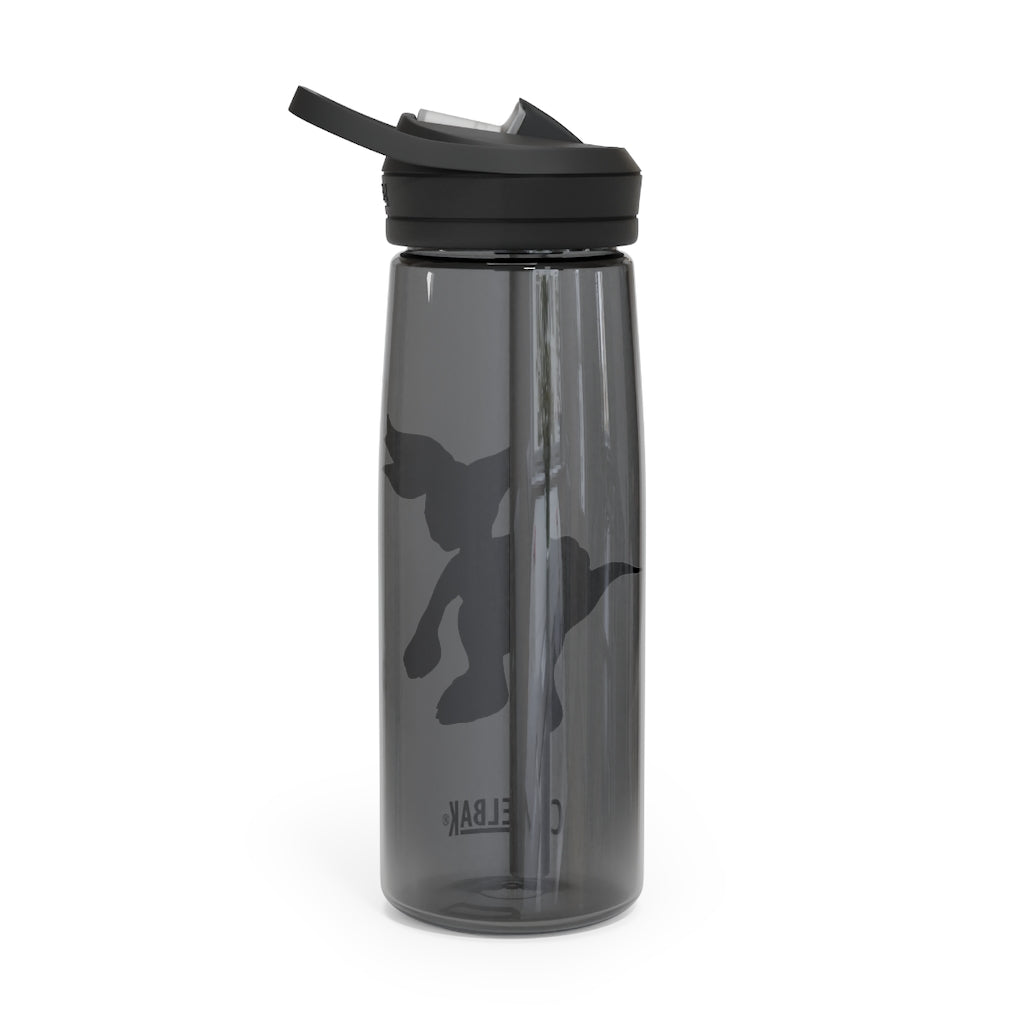 Carcoot CamelBak Eddy® Water Bottle in 20oz and 25oz sizes, showcasing its robust Tritan™ material and spill-proof design.