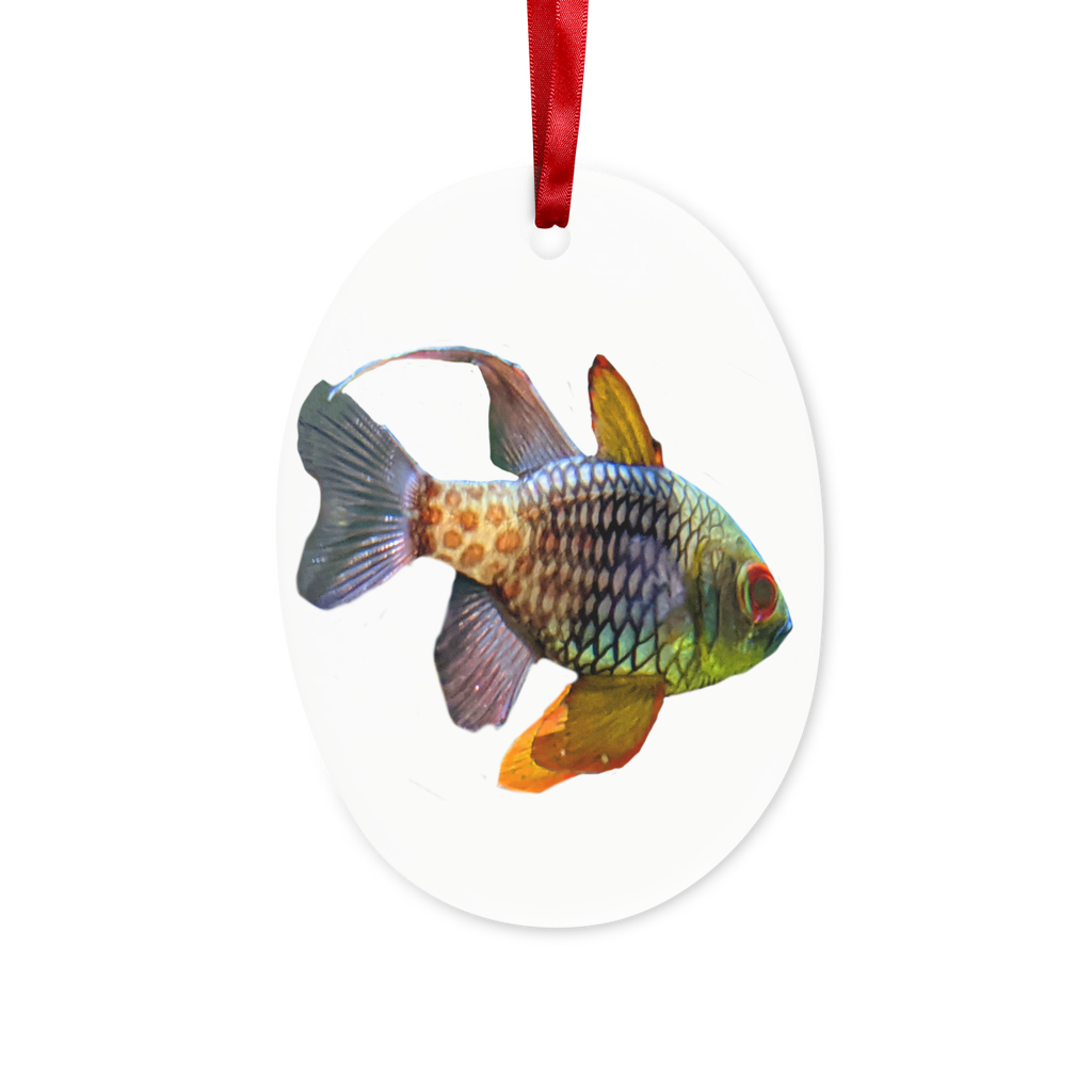 A colorful ceramic fish ornament hanging with a red ribbon and gold string, perfect for Christmas decoration.