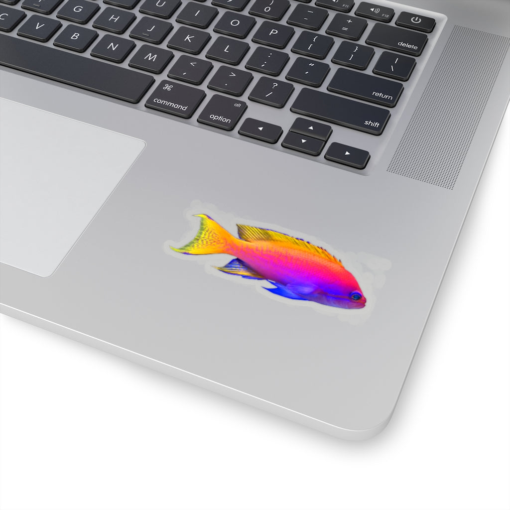 A collection of colorful fish kiss-cut stickers in various shapes and sizes, showcasing their vibrant designs and easy peel-off backing.