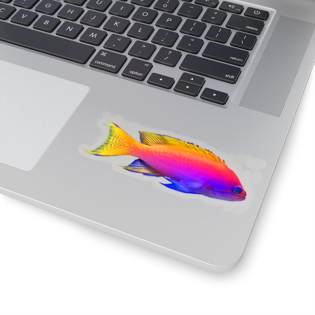 A collection of colorful fish kiss-cut stickers in various shapes and sizes, showcasing their vibrant designs and easy peel-off backing.