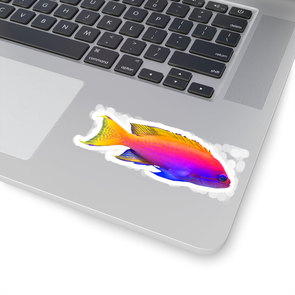 A collection of colorful fish kiss-cut stickers in various shapes and sizes, showcasing their vibrant designs and easy peel-off backing.