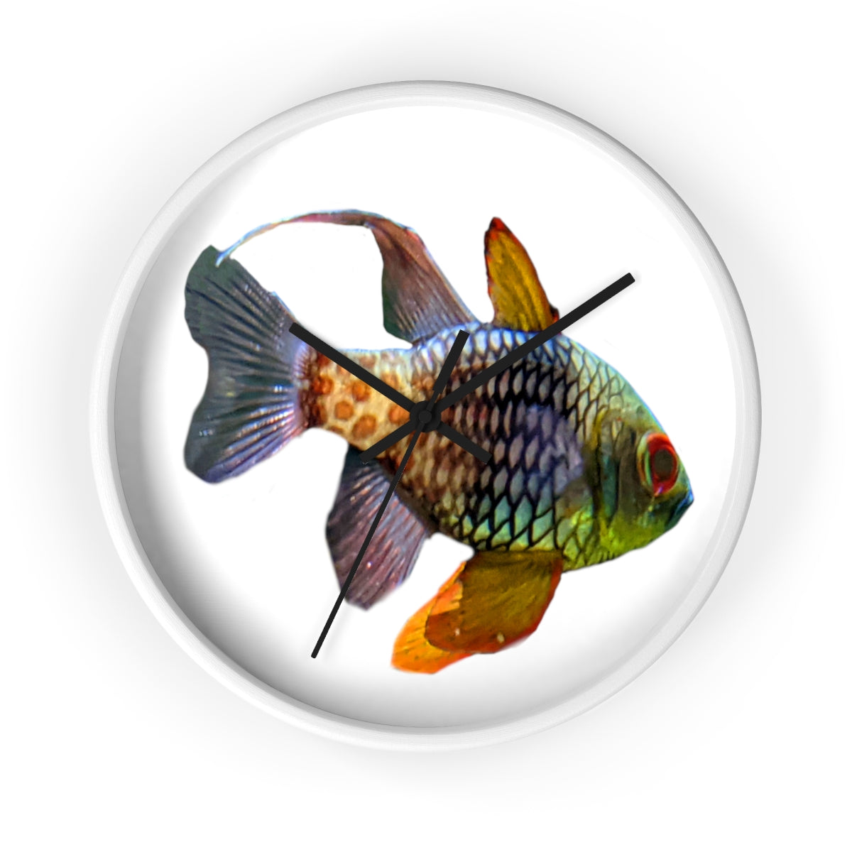 A colorful wall clock featuring vibrant fish designs, set in a wooden frame with a clear plexiglass face.