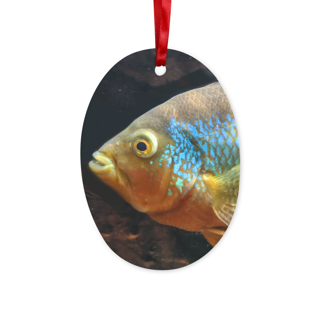 Colorful Fish Ceramic Hanging Ornament with red ribbon and gold string, perfect for Christmas decoration.