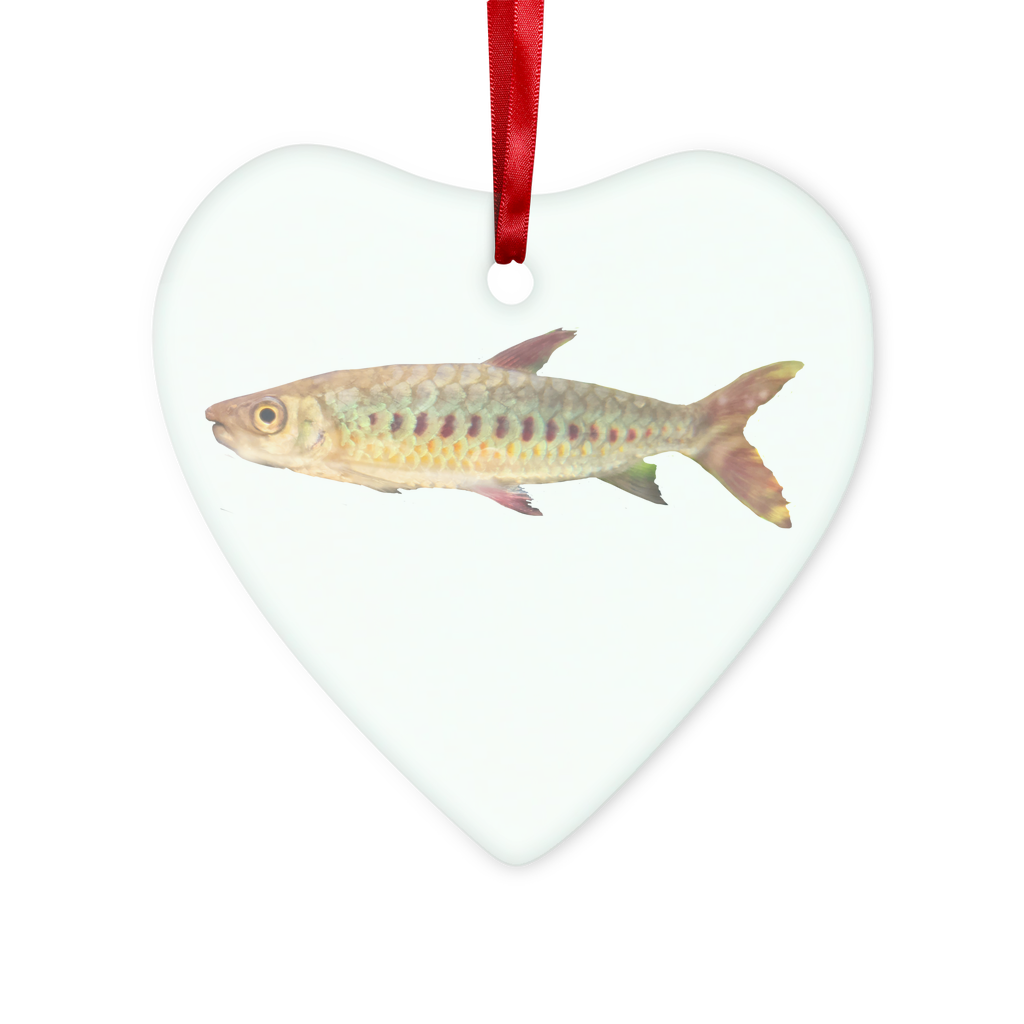 Colorful Fish Glass Hanging Ornament in round and heart shapes, beautifully crafted with vibrant colors, hanging with a red ribbon.