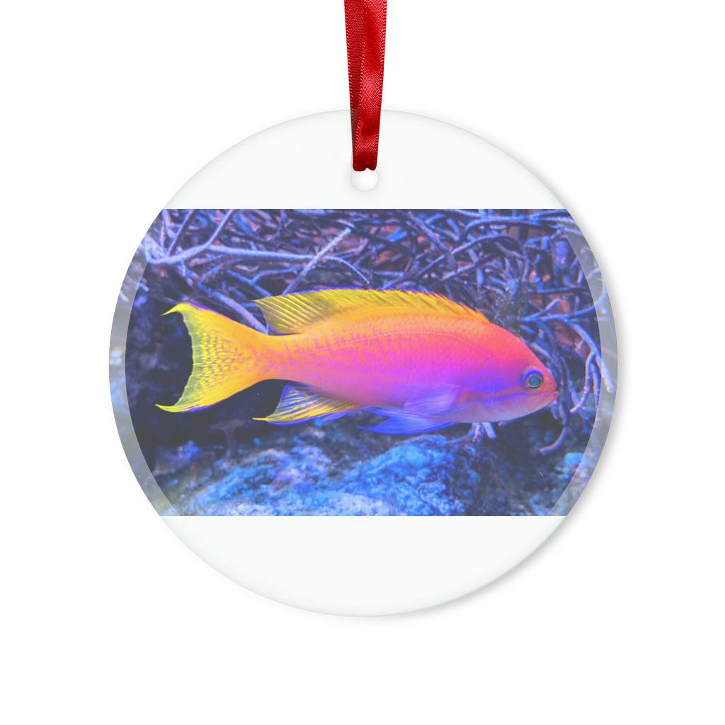 Colorful Fish Glass Hanging Ornament in round and heart shapes, beautifully crafted with vibrant colors, hanging with a red ribbon.