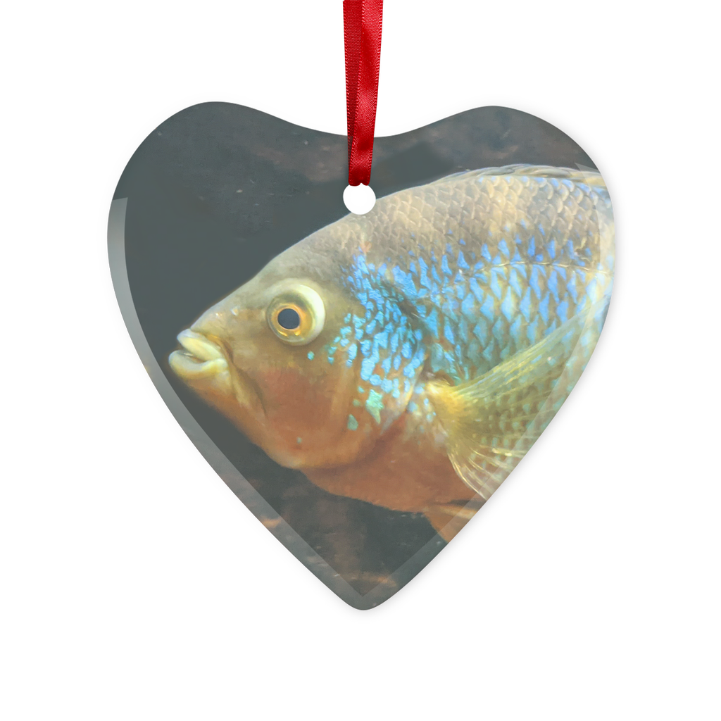 Colorful Fish Glass Hanging Ornament in round and heart shapes, beautifully crafted with vibrant colors, hanging with a red ribbon.