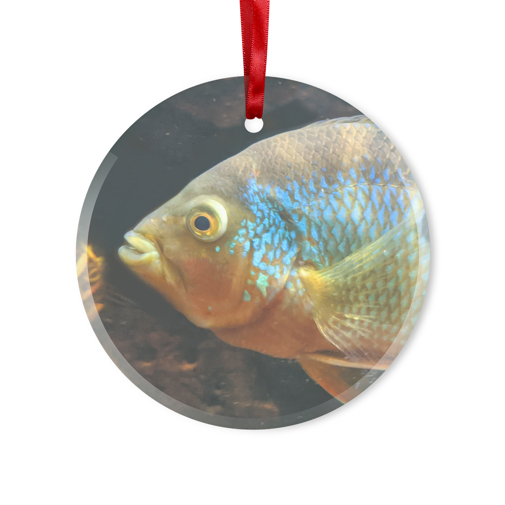 Colorful Fish Glass Hanging Ornament in round and heart shapes, beautifully crafted with vibrant colors, hanging with a red ribbon.