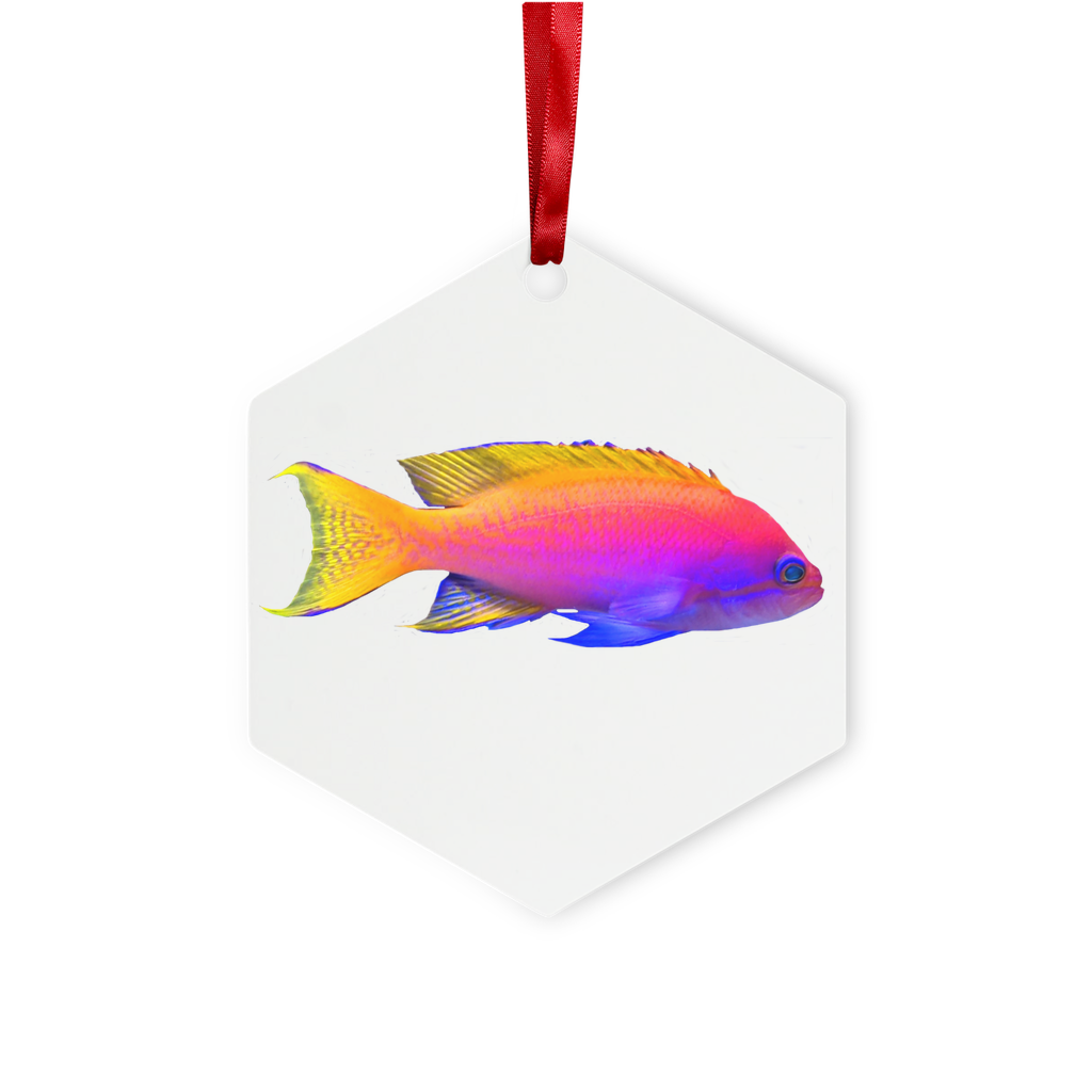 Colorful Fish Metal Hanging Ornament in hexagon and star shapes, featuring a gloss white finish and red ribbon for hanging.