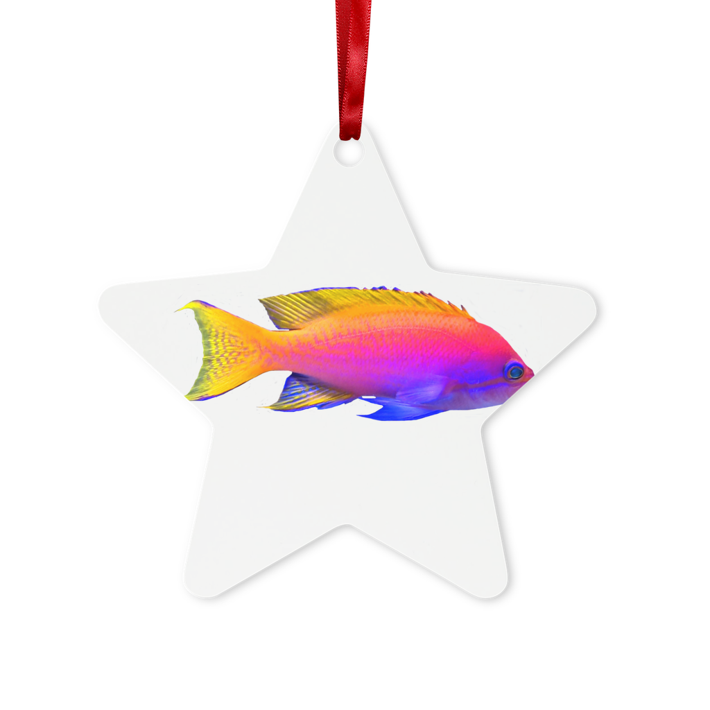 Colorful Fish Metal Hanging Ornament in hexagon and star shapes, featuring a gloss white finish and red ribbon for hanging.