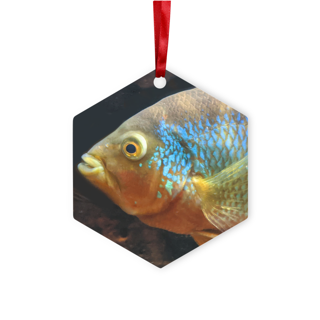 Colorful Fish Metal Hanging Ornament in hexagon and star shapes, featuring a glossy white finish and red ribbon for hanging.