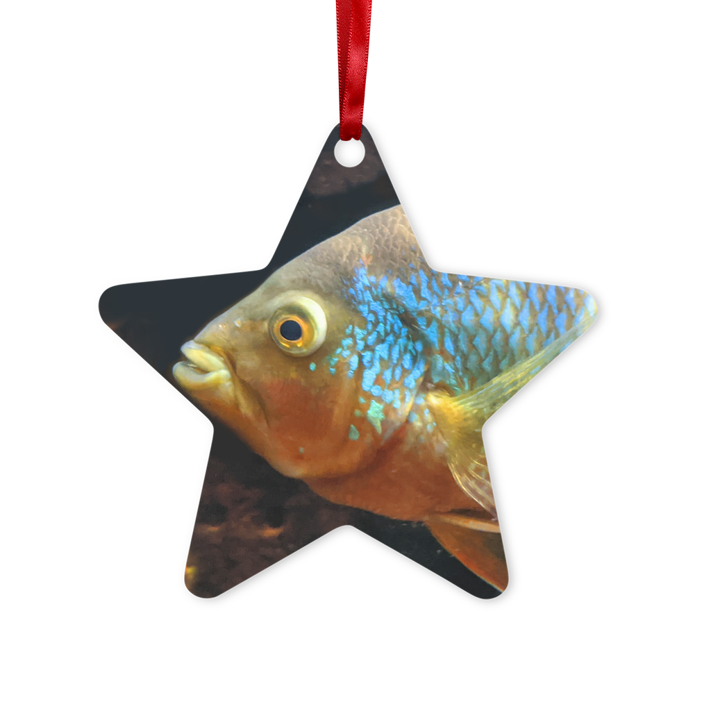 Colorful Fish Metal Hanging Ornament in hexagon and star shapes, featuring a glossy white finish and red ribbon for hanging.