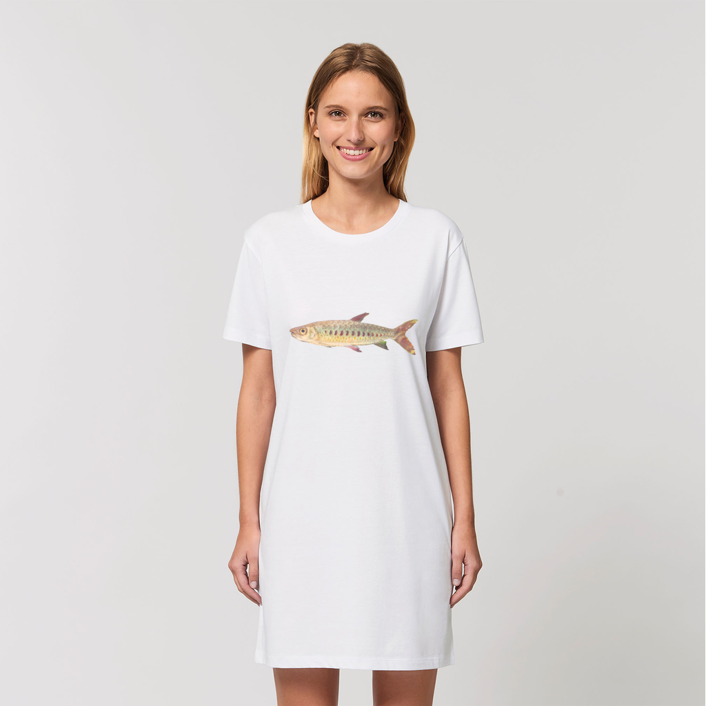 A vibrant Colorful Fish Organic T-Shirt Dress made from 100% organic cotton, featuring a playful fish print design, perfect for casual wear.