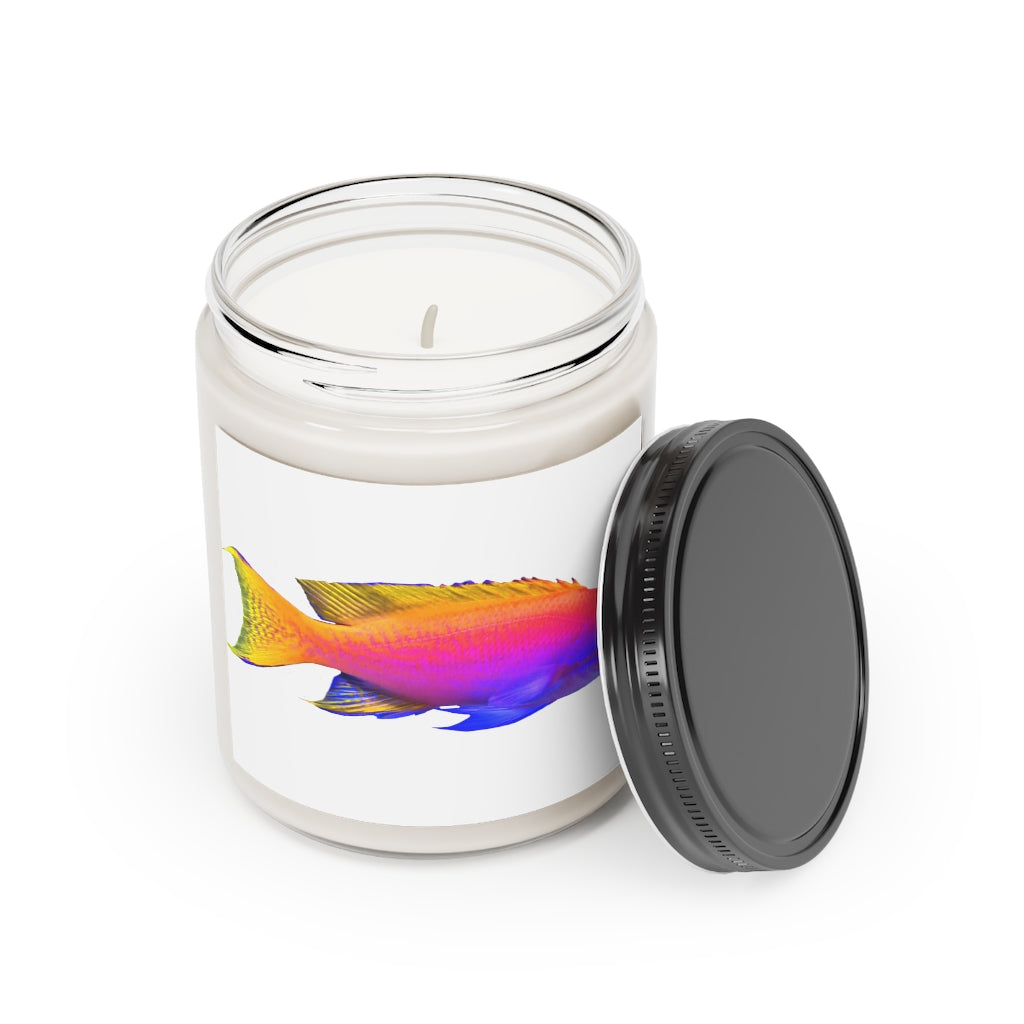 Colorful Fish Scented Candle in a glass container, showcasing vibrant colors and a stylish design, perfect for relaxation and aromatherapy.