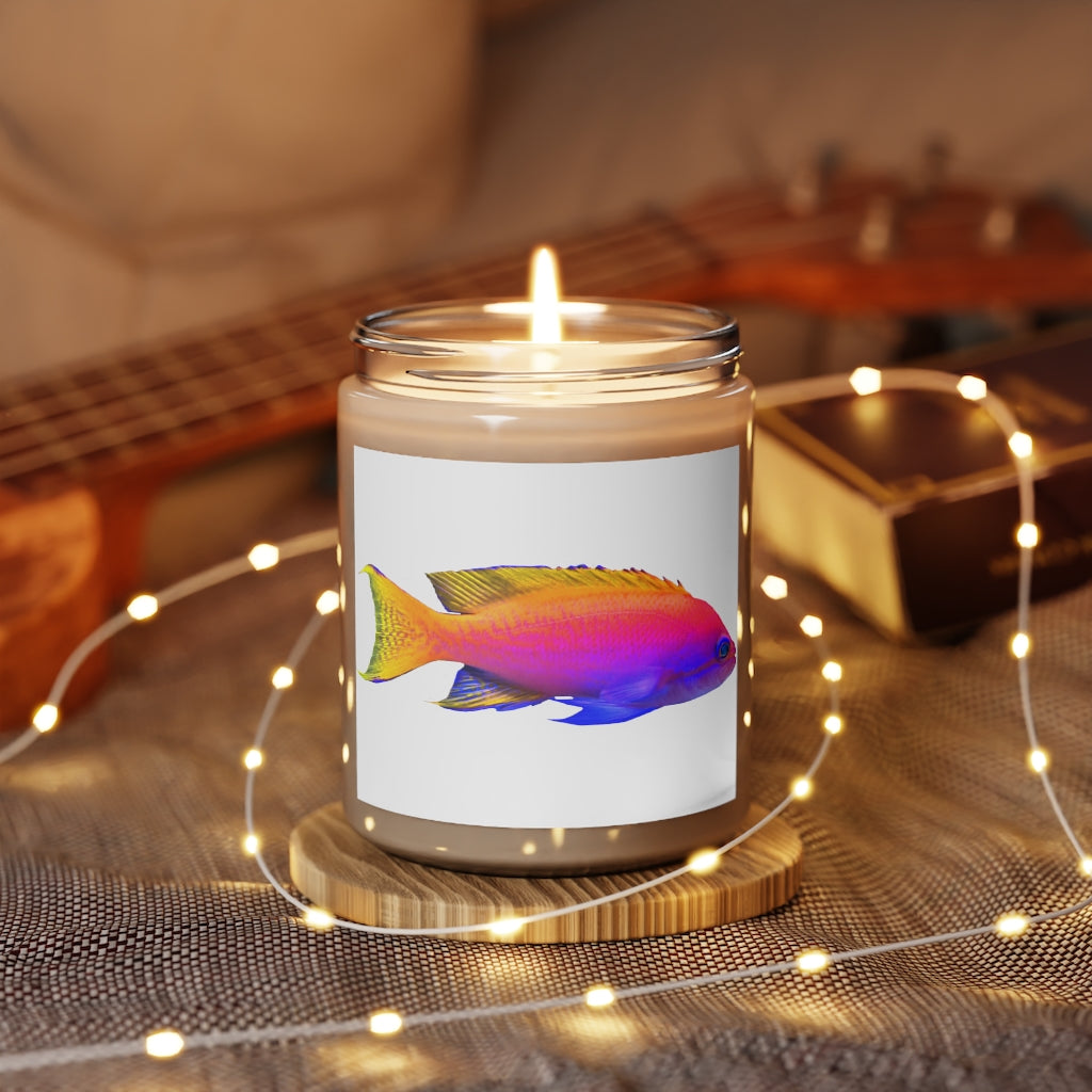 Colorful Fish Scented Candle in a glass container, showcasing vibrant colors and a stylish design, perfect for relaxation and aromatherapy.