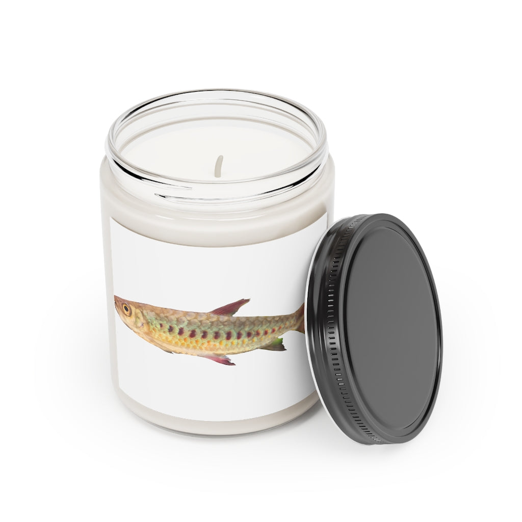 Colorful Fish Scented Candle in a glass container, showcasing its vibrant design and eco-friendly wax.