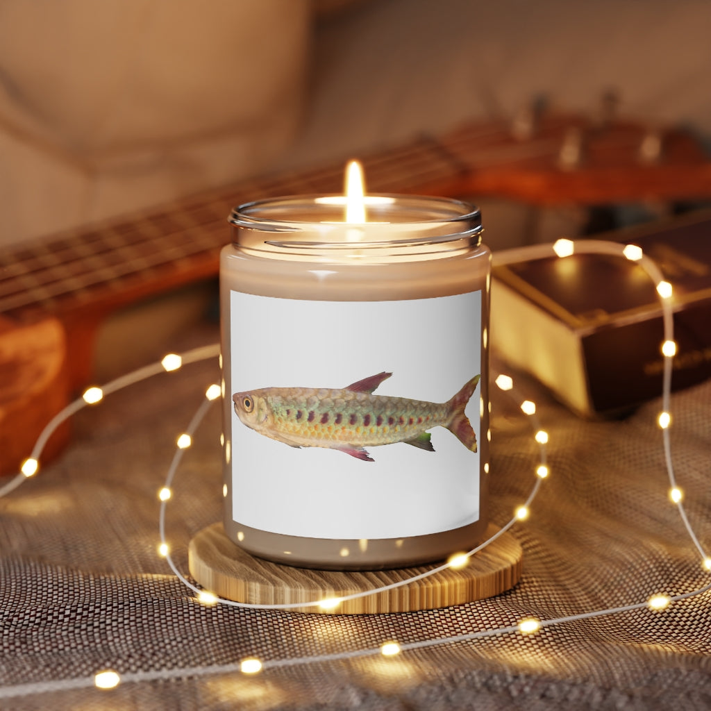 Colorful Fish Scented Candle in a glass container, showcasing its vibrant design and eco-friendly wax.