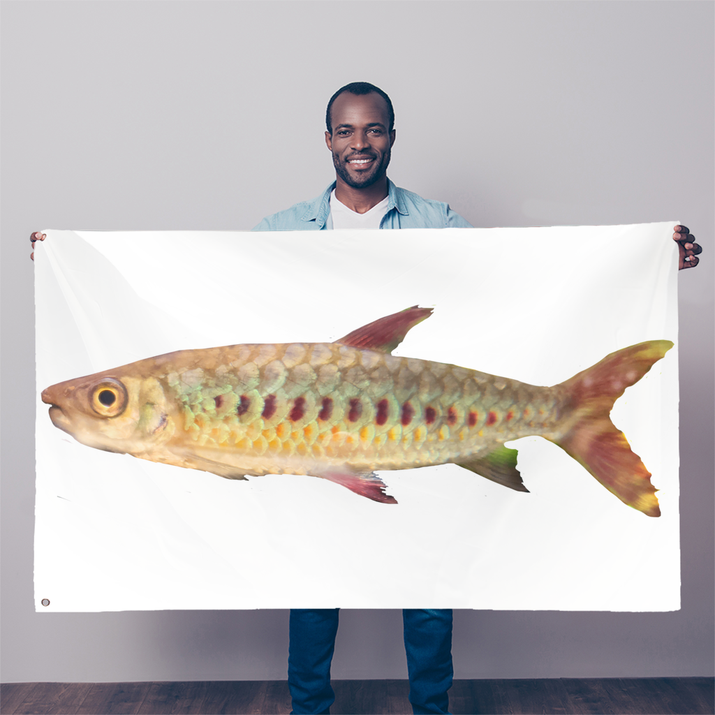 Colorful Fish Sublimation Flag featuring vibrant fish designs on durable polyester fabric, ideal for indoor and outdoor decoration.