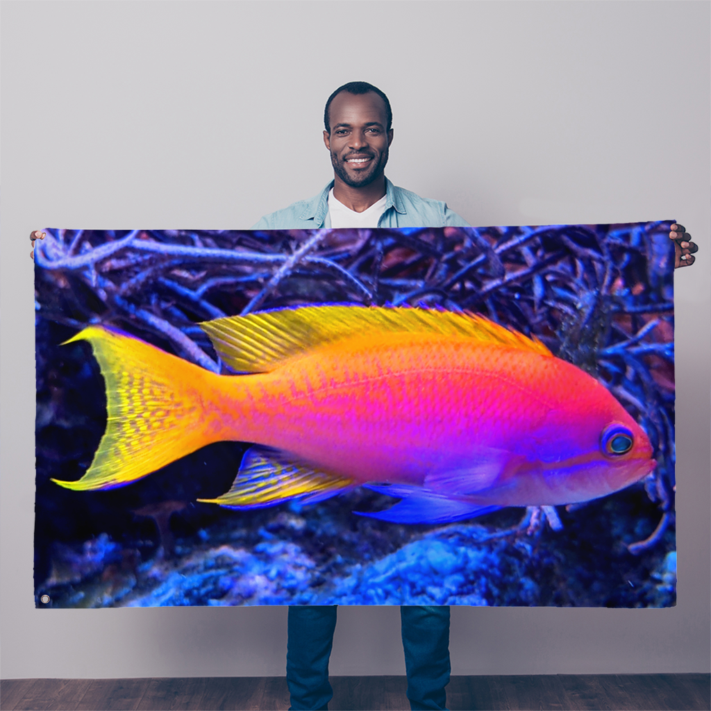 Colorful Fish Sublimation Flag featuring vibrant fish designs on durable polyester fabric, ideal for outdoor and indoor decoration.