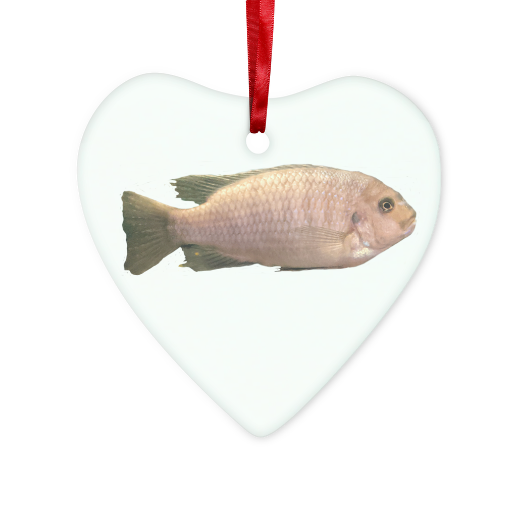 Cream peach fish glass hanging ornament with red ribbon and gold string, perfect for Christmas decoration or personalized gifts.