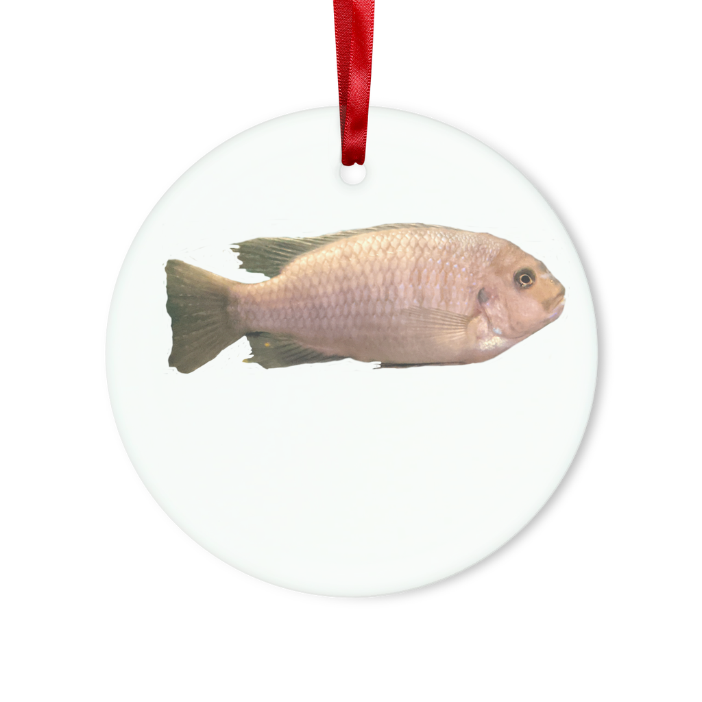 Cream peach fish glass hanging ornament with red ribbon and gold string, perfect for Christmas decoration or personalized gifts.