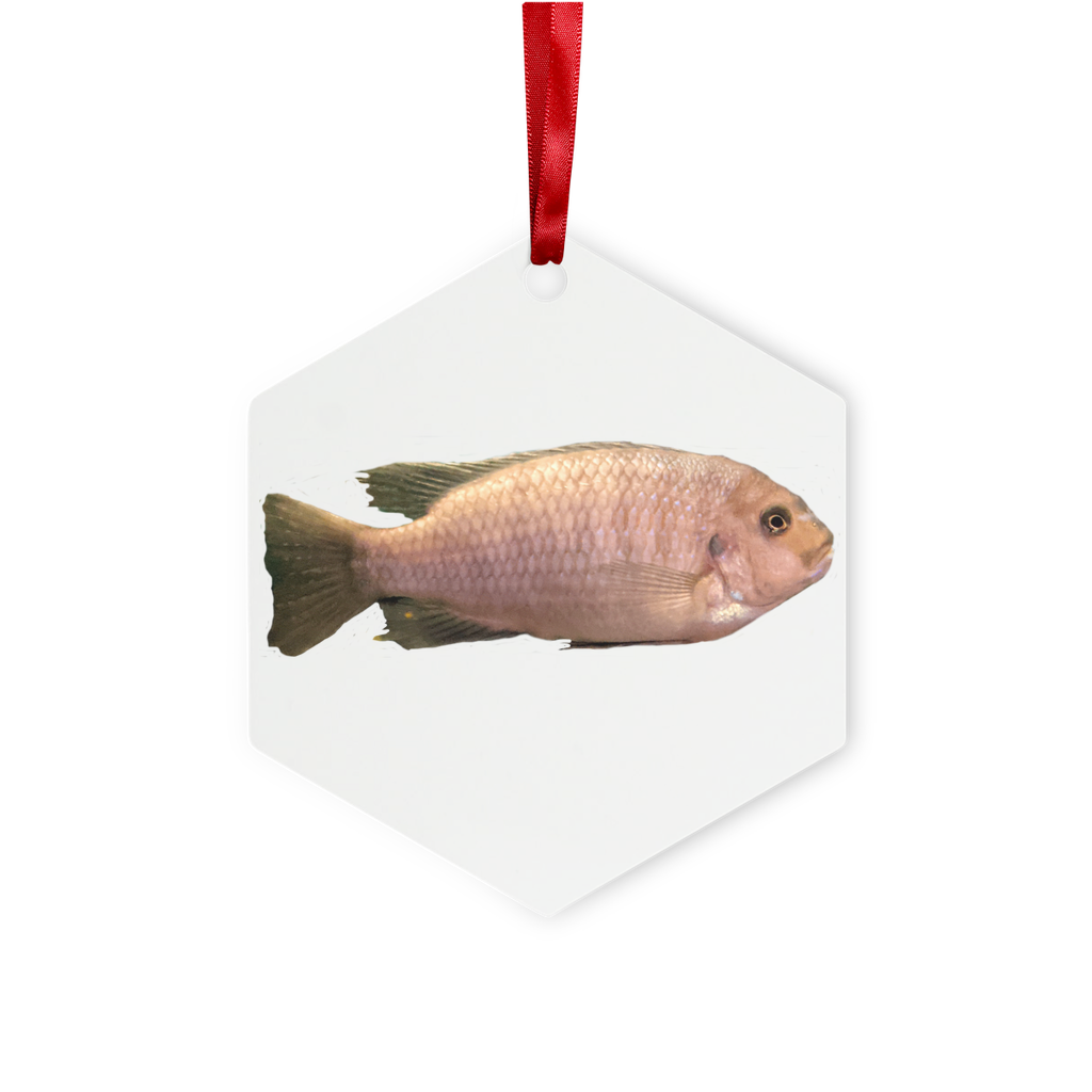 Cream Peach Fish Metal Hanging Ornament with red ribbon, featuring hexagon and star shapes, elegantly displayed in a white box.