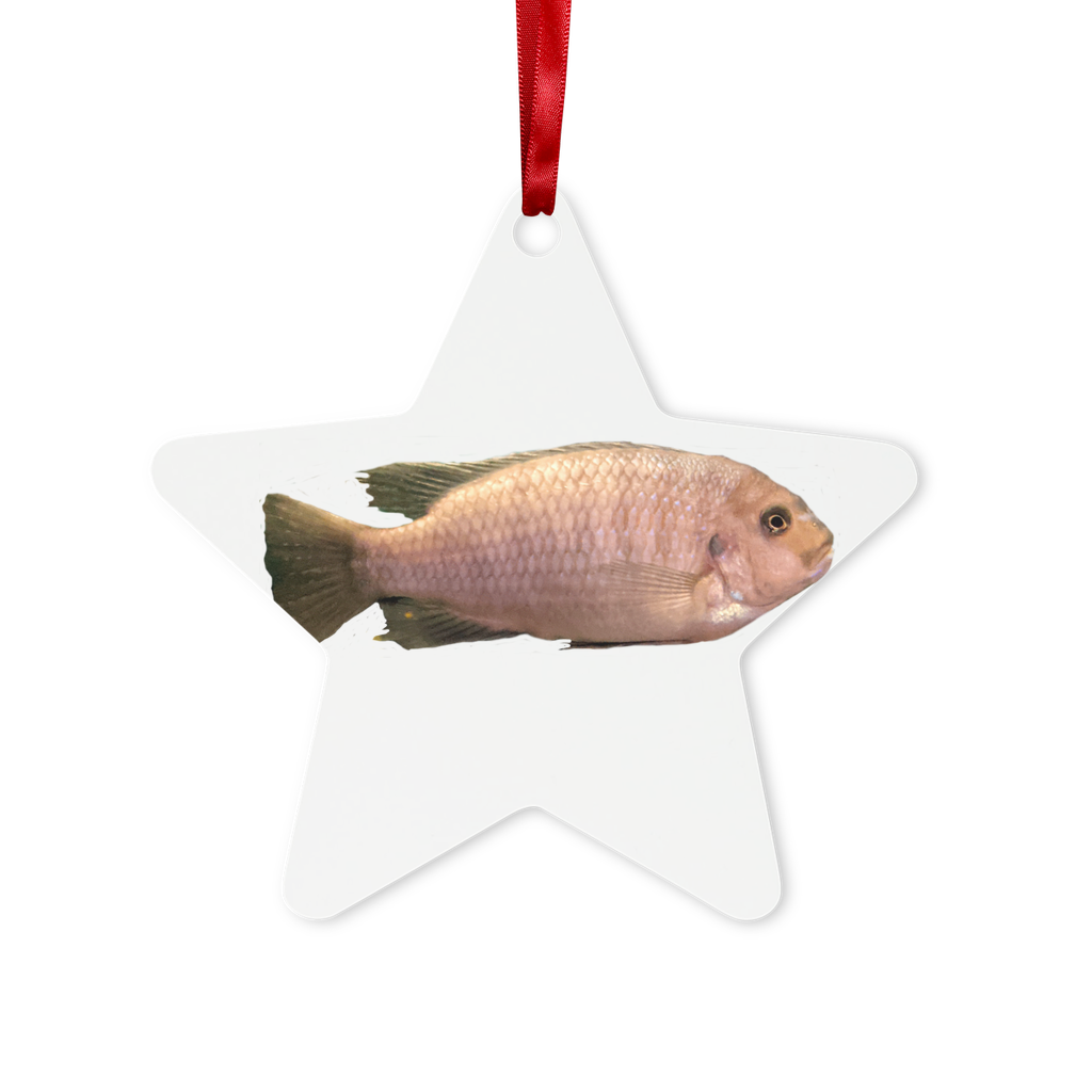 Cream Peach Fish Metal Hanging Ornament with red ribbon, featuring hexagon and star shapes, elegantly displayed in a white box.