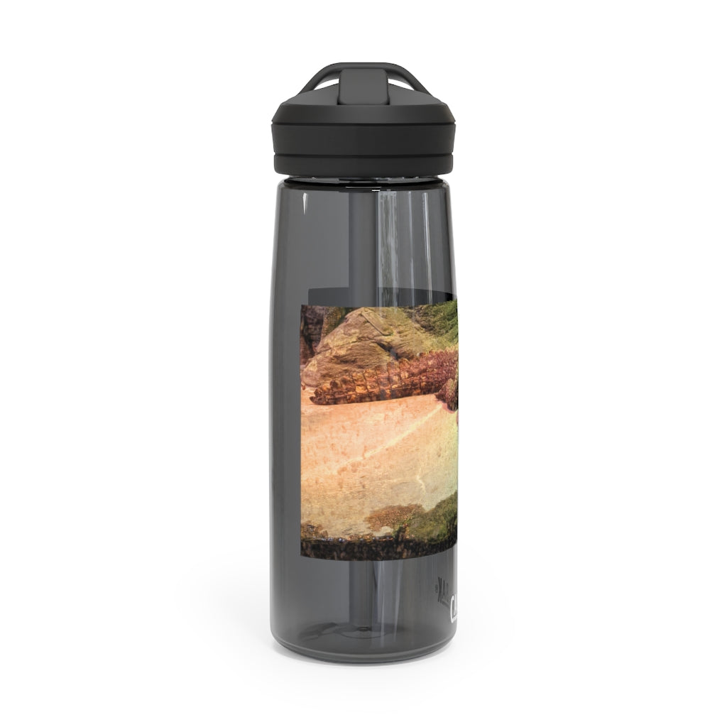 Crocodile CamelBak Eddy® Water Bottle in 20oz and 25oz sizes, showcasing its durable Tritan™ material and spill-proof design.