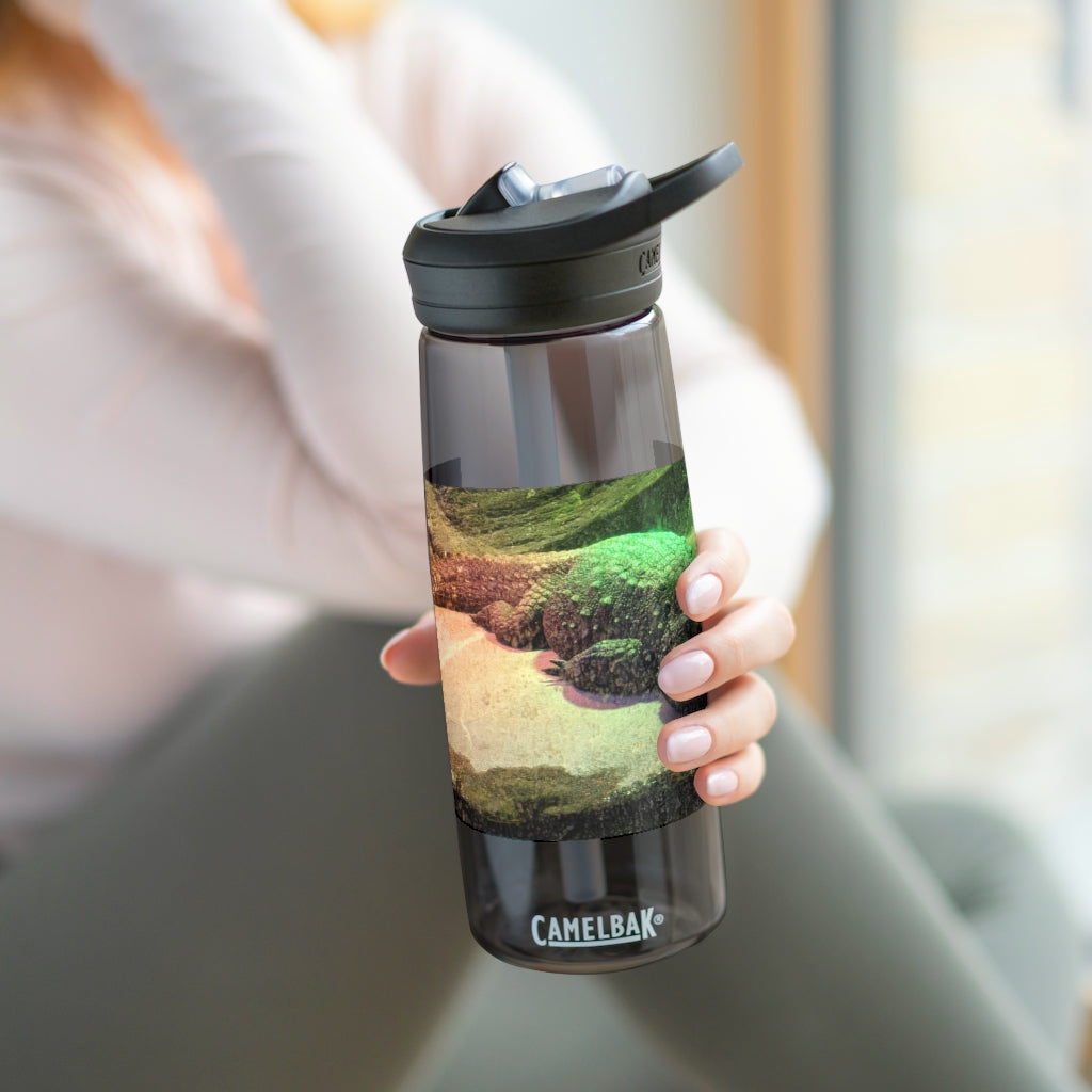 Crocodile CamelBak Eddy® Water Bottle in 20oz and 25oz sizes, showcasing its durable Tritan™ material and spill-proof design.