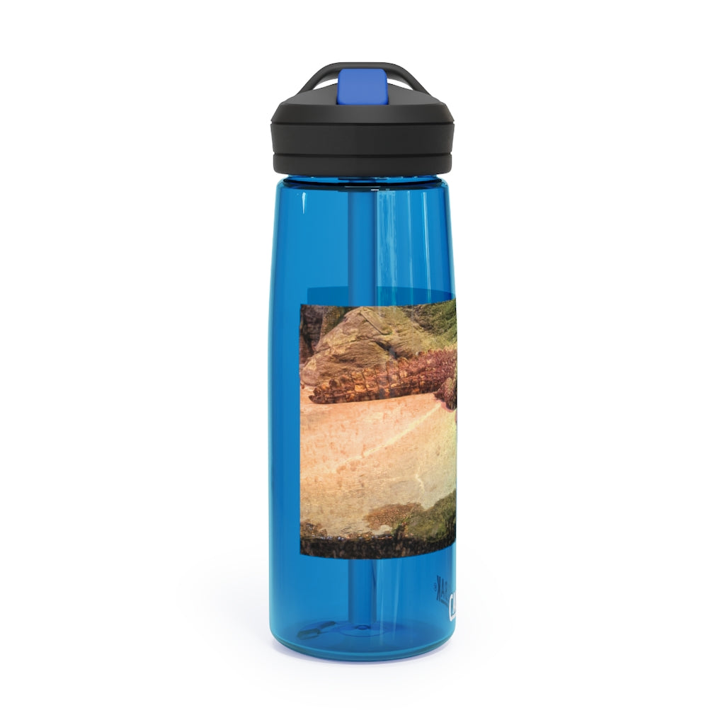 Crocodile CamelBak Eddy® Water Bottle in 20oz and 25oz sizes, showcasing its durable Tritan™ material and spill-proof design.