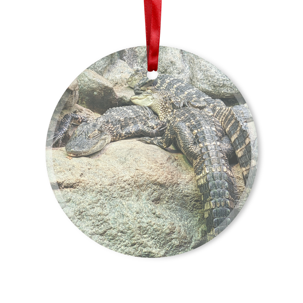 Crocodiles Glass Hanging Ornament in round and heart shapes, beautifully crafted with a red ribbon and gold string for hanging.