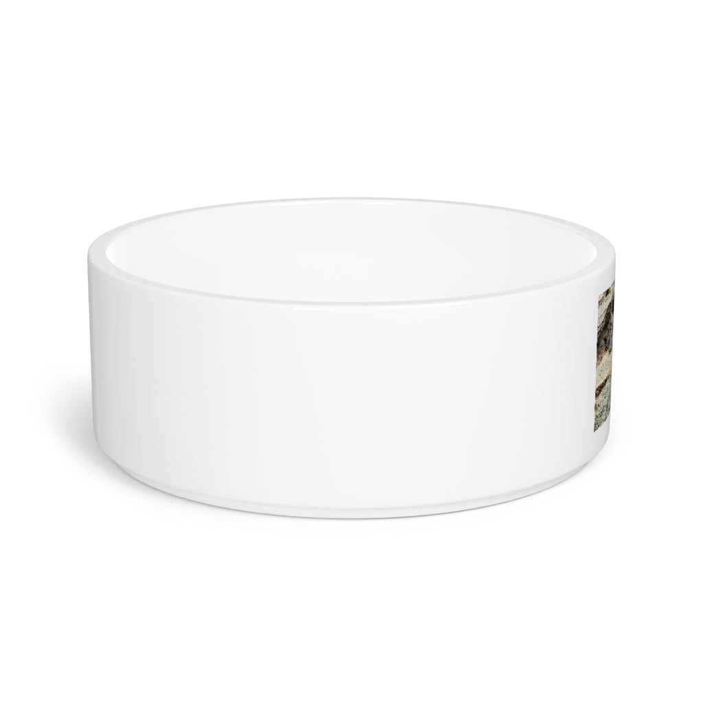 Crocodiles Pet Bowl made of white ceramic, featuring a customizable design, measuring 6 inches in diameter and 2.25 inches tall.