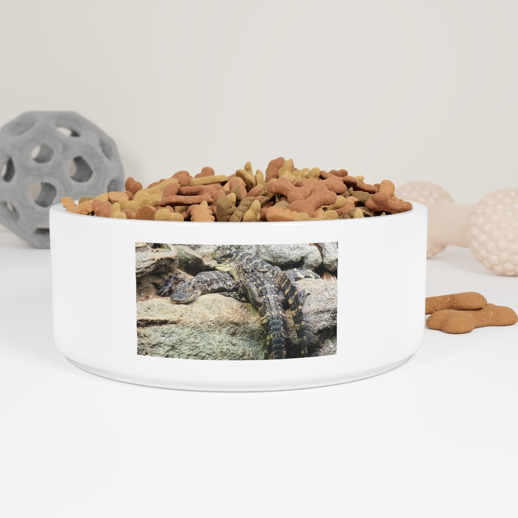 Crocodiles Pet Bowl made of white ceramic, featuring a customizable design, measuring 6 inches in diameter and 2.25 inches tall.