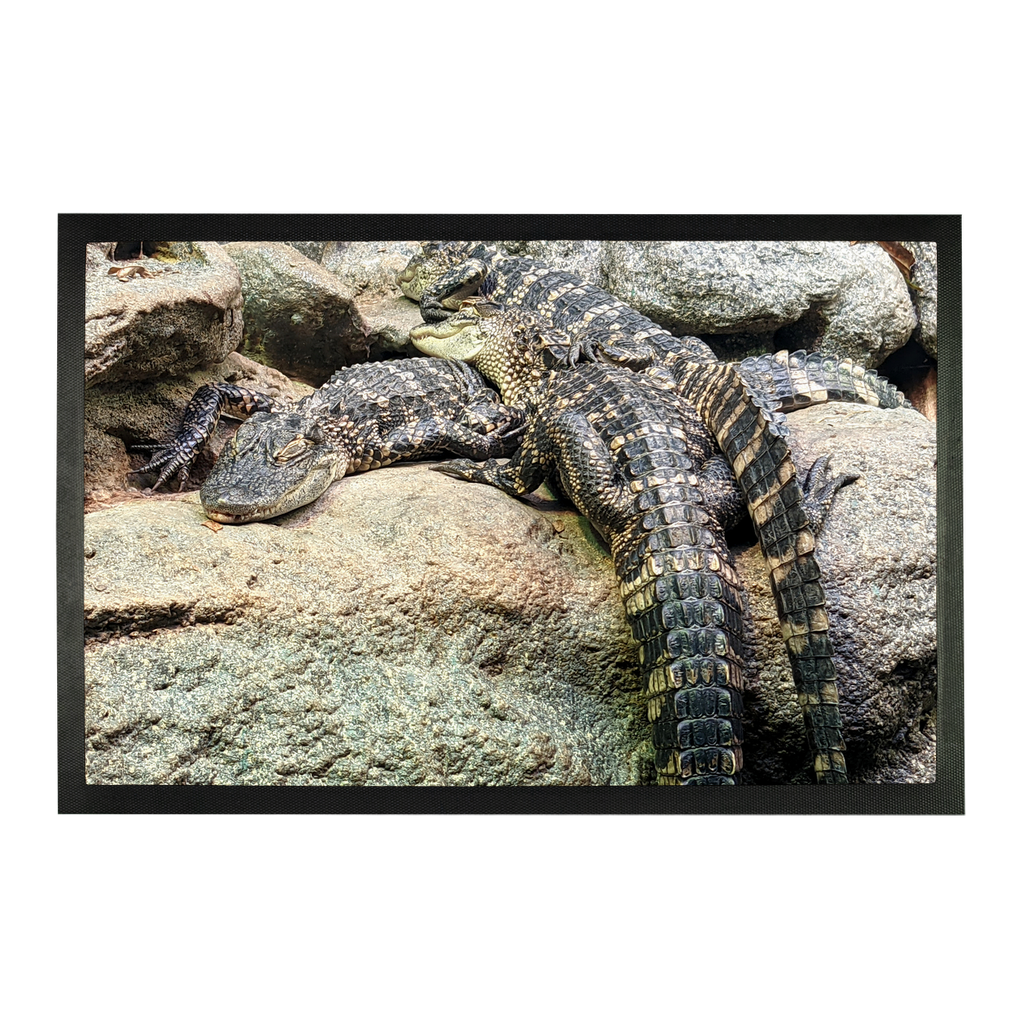 Crocodiles Sublimation Doormat featuring a vibrant crocodile design on a durable rubber base, perfect for home entryways.