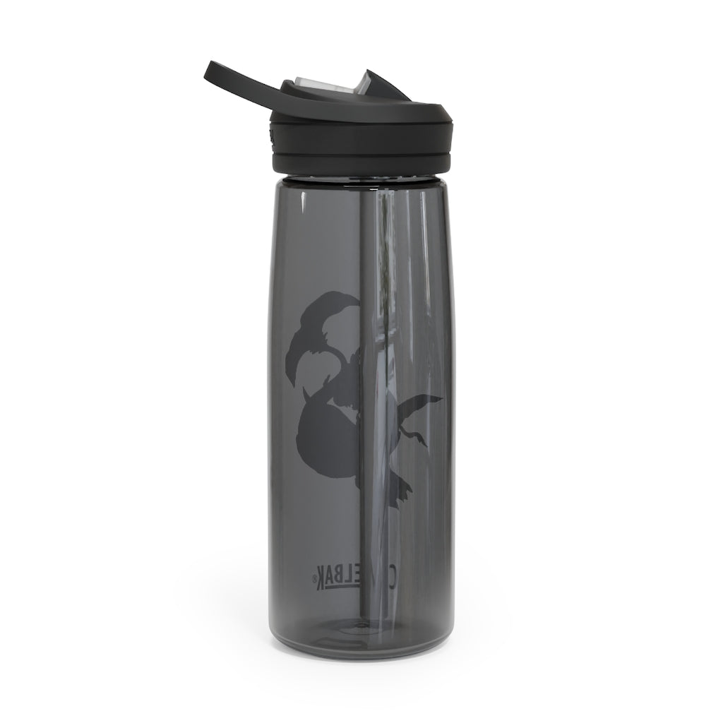 Dragonir CamelBak Eddy® Water Bottle in 20oz and 25oz sizes, showcasing its robust design and spill-proof biting valve.