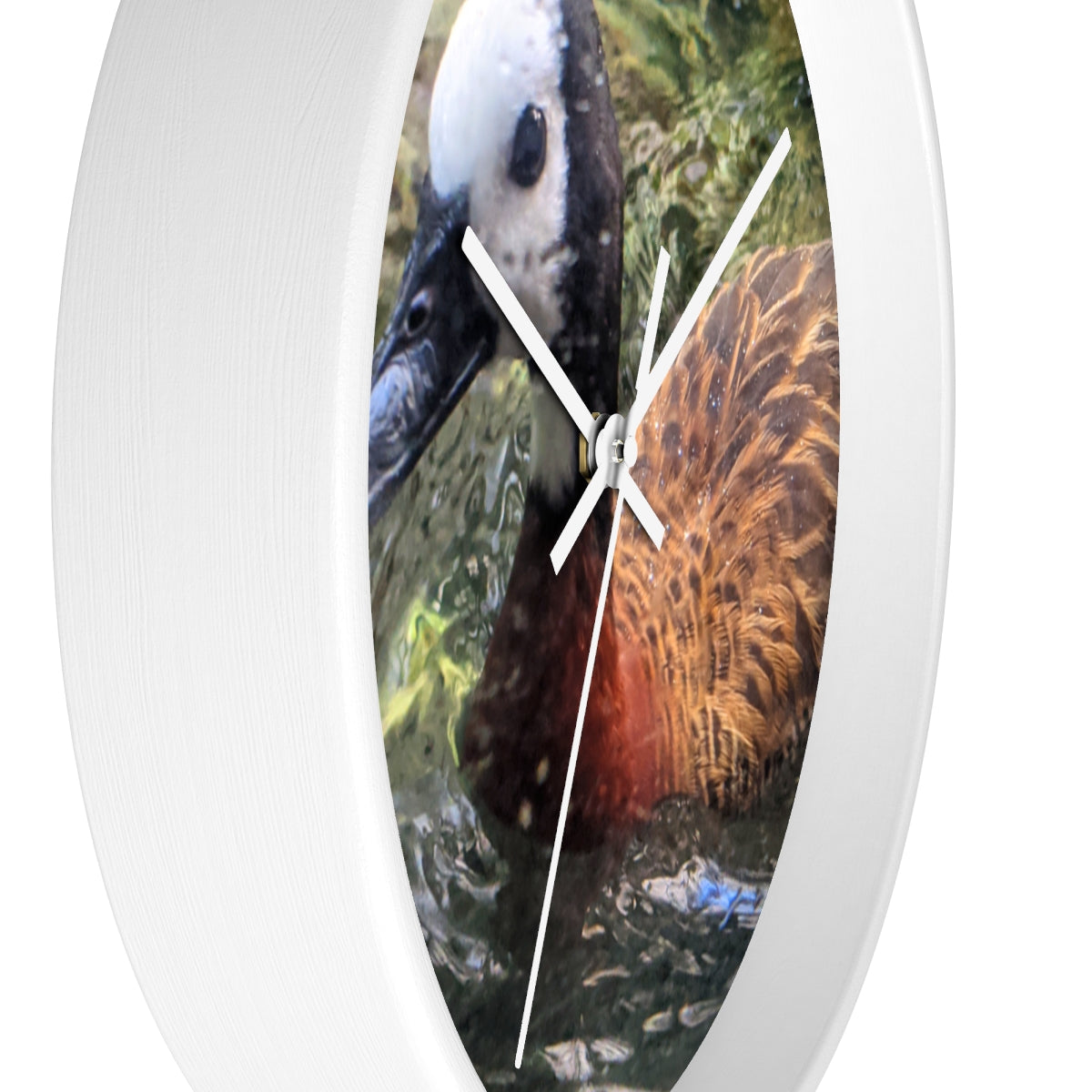 A charming Duck Wall Clock featuring a wooden frame and a plexiglass face, perfect for indoor decor.