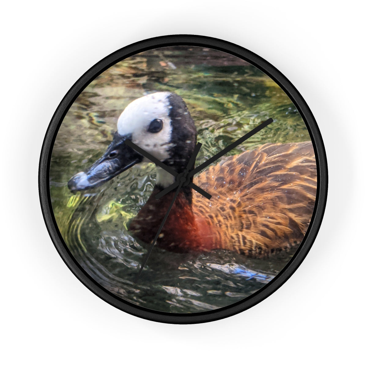 A charming Duck Wall Clock featuring a wooden frame and a plexiglass face, perfect for indoor decor.