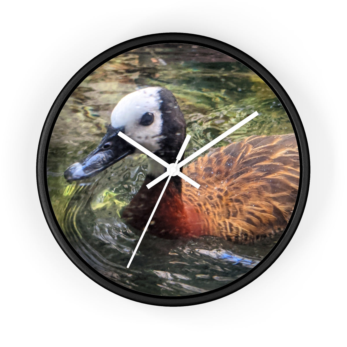 A charming Duck Wall Clock featuring a wooden frame and a plexiglass face, perfect for indoor decor.