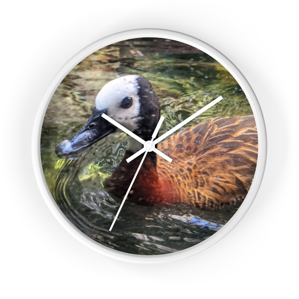 A charming Duck Wall Clock featuring a wooden frame and a plexiglass face, perfect for indoor decor.