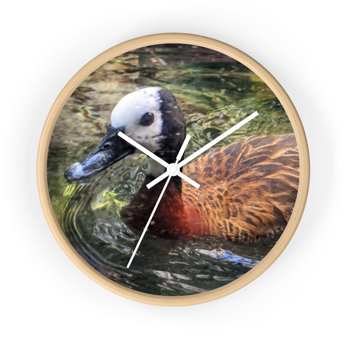 A charming Duck Wall Clock featuring a wooden frame and a plexiglass face, perfect for indoor decor.