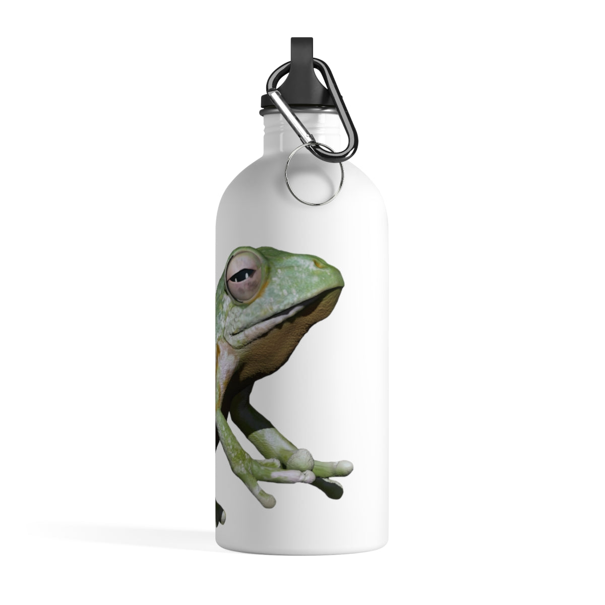 Frog Stainless Steel Water Bottle with a plastic screw top and carabiner, showcasing its stylish design and lightweight construction.