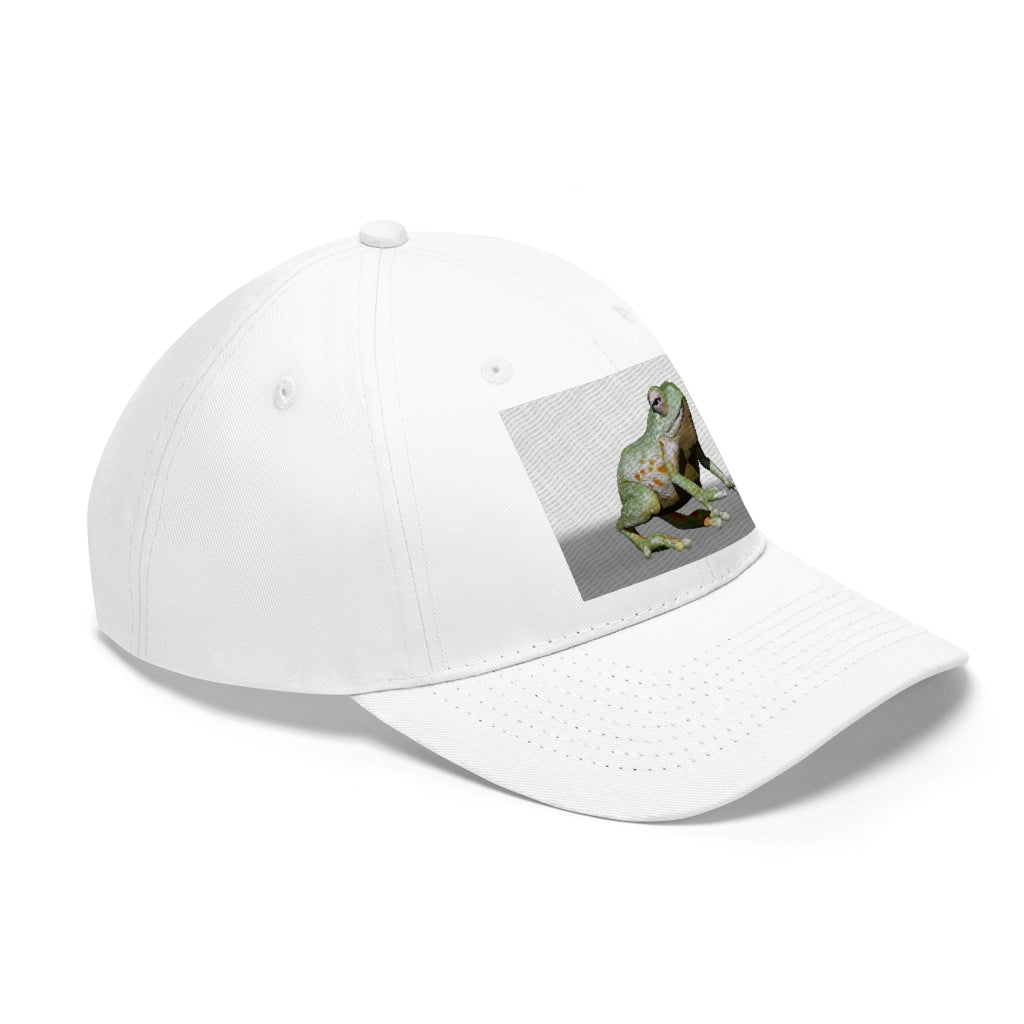 Frog Unisex Twill Hat in a classic 6-panel design, made of 100% cotton twill, featuring an adjustable Velcro closure.