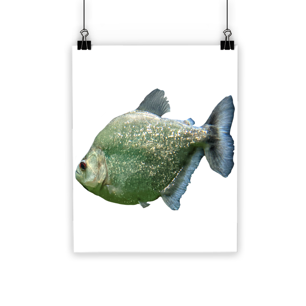 A vibrant Glitter Green Fish Classic Poster showcasing a colorful fish design on semi-gloss paper, perfect for indoor and outdoor decor.